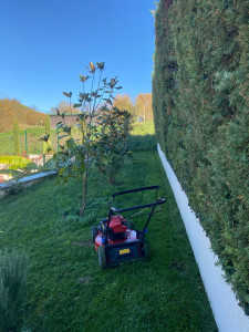 Photo de galerie - Tonte