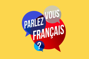 Photo de galerie - Je vous propose de préparer les certifications en Français Langue Étrangère, notamment le TCF TP (Test de Connaissance du Français Tout Public)