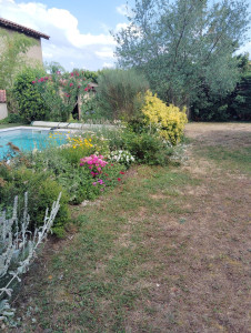 Photo de galerie - Entretien du jardin(tonte, désherbage, plantations, etc...)
Entretien piscine