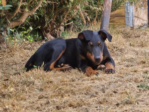 Photo de galerie - Bonnie