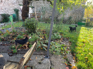 Photo de galerie - Visite au domicile 