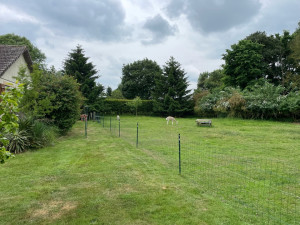 Photo de galerie - Tonte