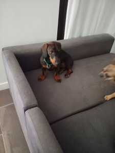 Photo de galerie - Mitsouko 