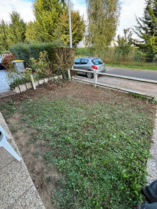 Photo de galerie - Taille de haies et d'arbustes