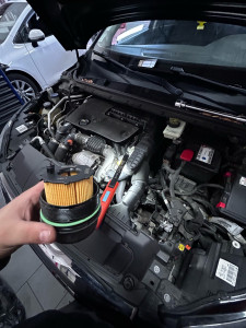 Photo de galerie - Entretien 