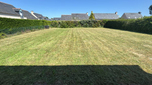 Photo de galerie - Tonte de pelouse