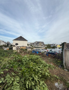 Photo de galerie - Rabattage de haie 