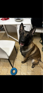 Photo de galerie - Louis^^