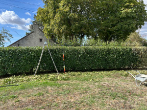 Photo de galerie - Taille haie de 40 m de long au total, photo prise en cours de taille