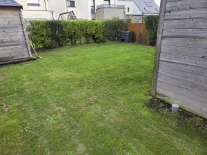 Photo de galerie - Bonjour je fait des tontes de pelouses