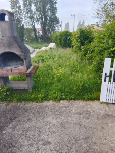 Photo de galerie - Tonte de pelouse - Débroussaillage