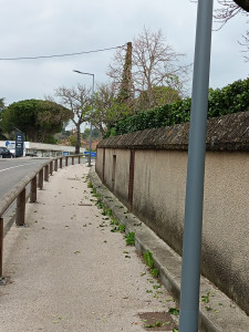 Photo de galerie - Coupe de haies 