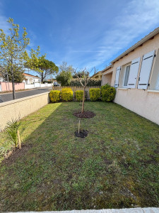 Photo de galerie - Nettoyage de printemps