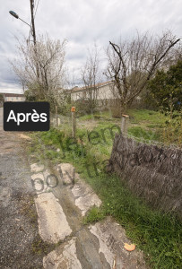 Photo de galerie - Abattage d'arbres 