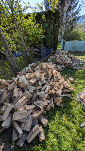 Photo de galerie - Manutention