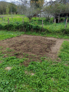 Photo de galerie - Création du jardin 