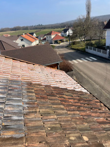 Photo de galerie - Traitement d’une toiture anti mousse