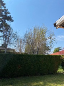 Photo de galerie - Paysagiste - Aménagement du jardin