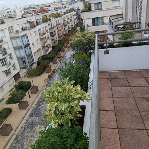 Photo de galerie - Paysagiste - Aménagement du jardin