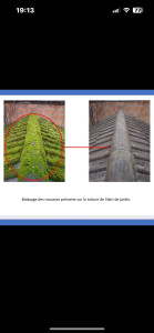 Photo de galerie - Couverture - Toiture