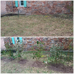 Photo de galerie - Paysagiste - Aménagement du jardin