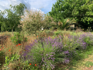 Photo de galerie - Nettoyage de parterre avant