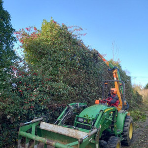 Photo de galerie - Taille de haie avec lamier 
