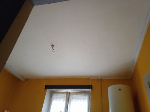 Photo de galerie - Peinture - Tapisserie