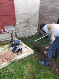 Photo de galerie - Paysagiste - Aménagement du jardin