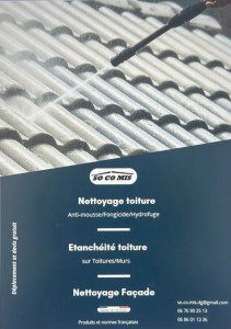 Photo de galerie - Vous souhaitez réparer ou nettoyer votre toiture avec ou sans hydrofuge notre équipe est spécialisée et efficace