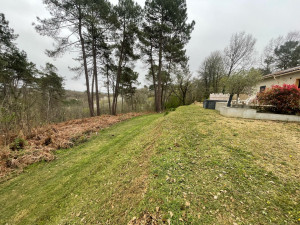 Photo de galerie - Tonte de pelouse - Débroussaillage