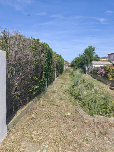 Photo de galerie - Débroussaillage et taille de haie 