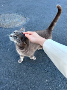 Photo de galerie - Mignon