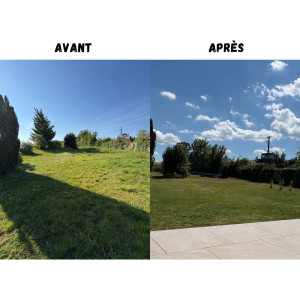 Photo de galerie - Tonte d’un jardin de 600m2
