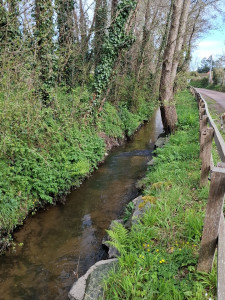 Photo de galerie - Nettoyage de cœur d eaux 
