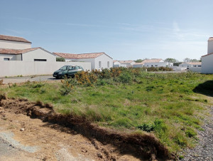 Photo de galerie - Terrain en friche depuis deux ans avant mon intervention.