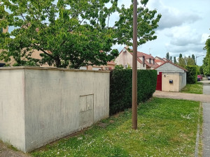 Photo de galerie - Taille de haies et d'arbustes