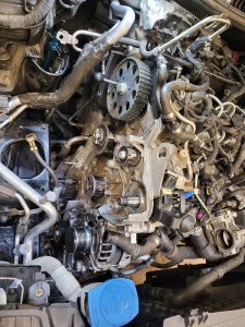 Photo de galerie - Kit distribution