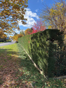 Photo de galerie - Après entretien