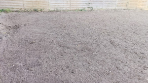 Photo de galerie - Paysagiste - Aménagement du jardin