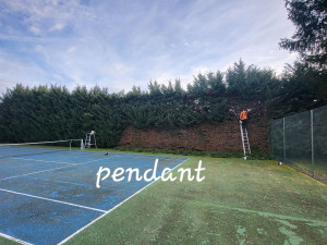 Photo de galerie - Taille des haies 
