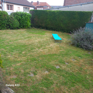 Photo de galerie - Taille de haie