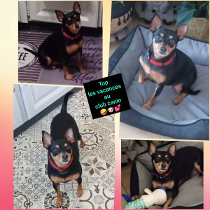 Photo de galerie - Pipoca dans sa maison de vacances ??❤️