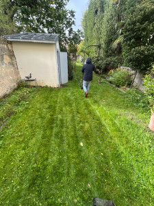 Photo de galerie - Paysagiste - Aménagement du jardin
