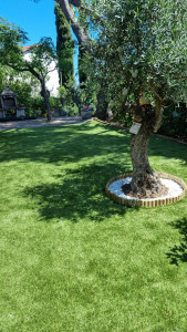Photo de galerie - Pose de gazon synthétique et bordure en bois avec galet blanc pour l'olivier 