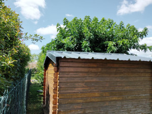 Photo de galerie - Rénovation toit de chalet de jardin 