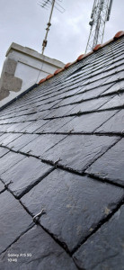 Photo de galerie - Traitement toiture