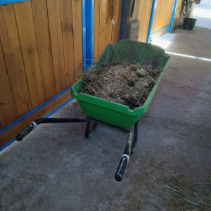 Photo de galerie - Paturage