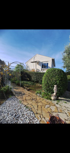 Photo de galerie - Taille de haies et d'arbustes