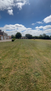Photo de galerie - Tonte de pelouse 